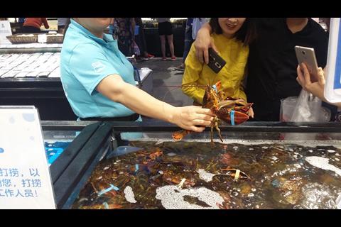 Shoppers pick a lobster for lunch